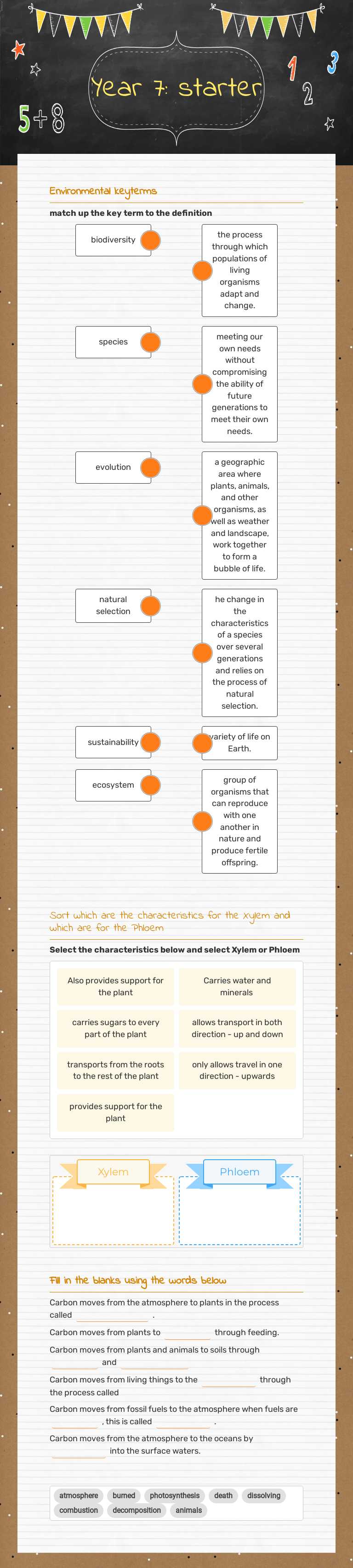 Year 7: starter worksheet preview