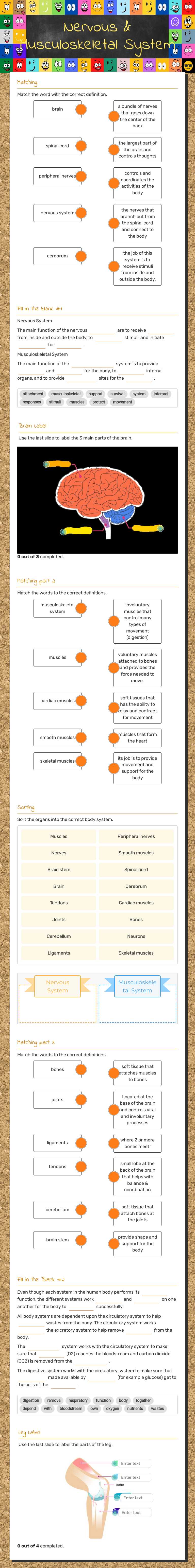 Nervous & Musculoskeletal System worksheet preview image