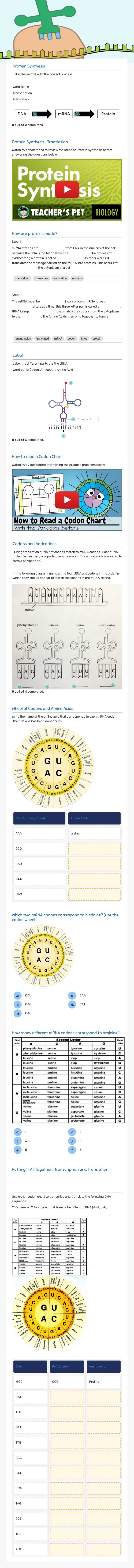 Translation worksheet preview image