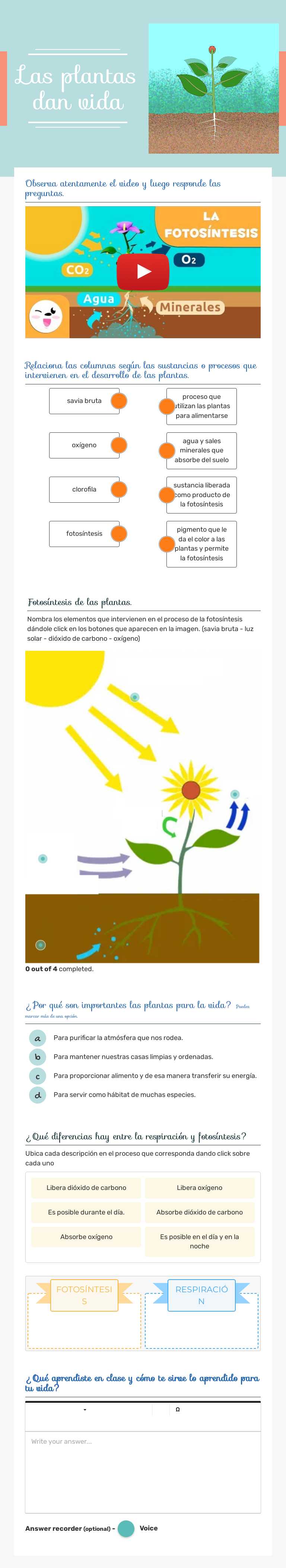 Las plantas dan vida Grade 3 worksheet preview