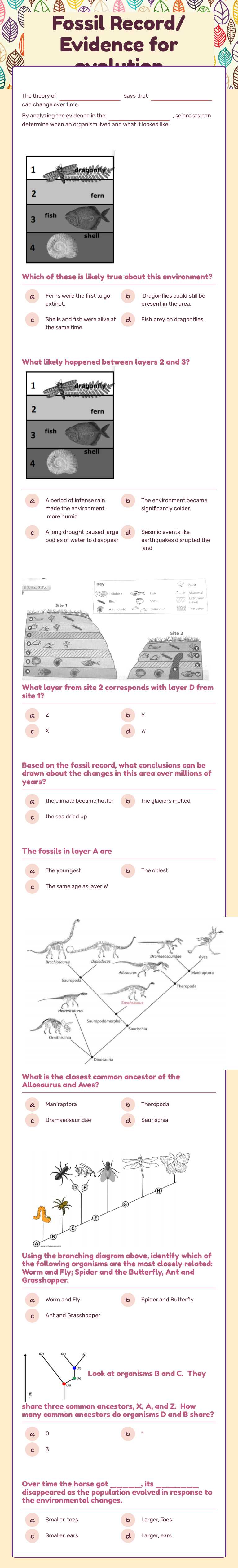 Fossil Record/
Evidence for evolution worksheet preview image