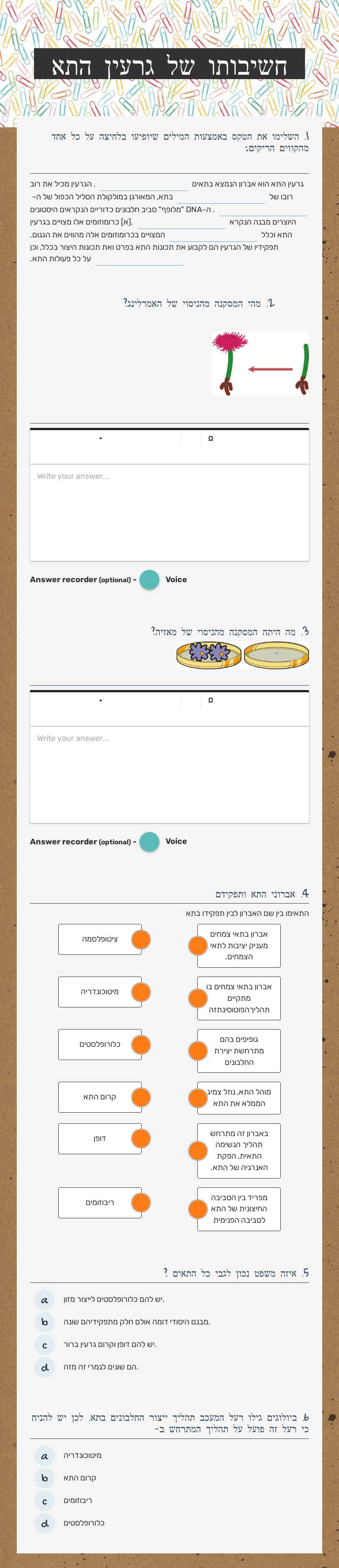 חשיבותו של גרעין התא worksheet preview image