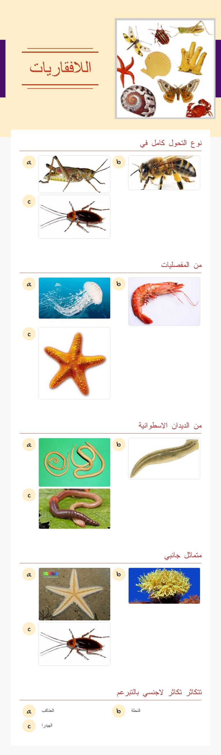 اللافقاريات Grade 7 worksheet preview