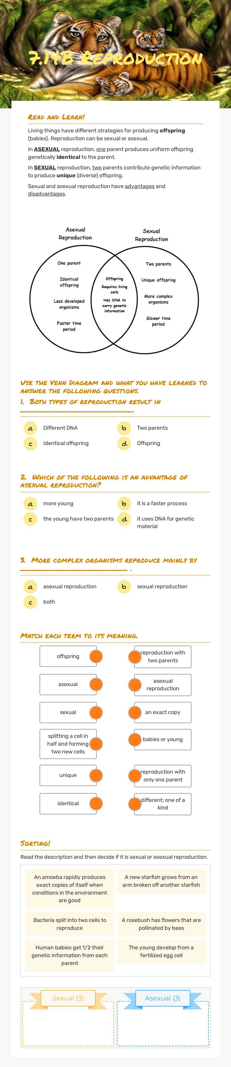 7.14B Reproduction Grade 7 worksheet preview