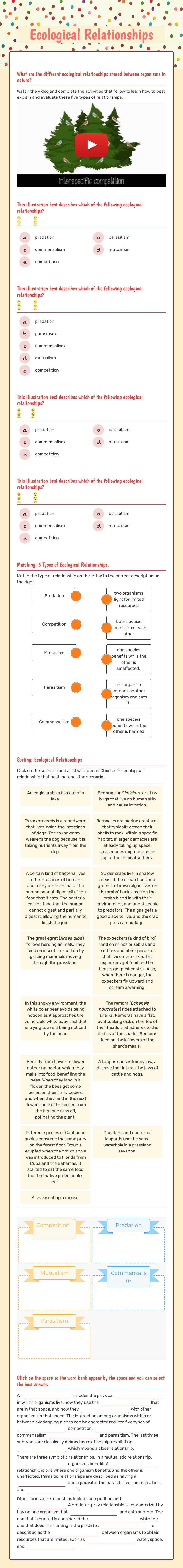 Ecological Relationships worksheet preview image