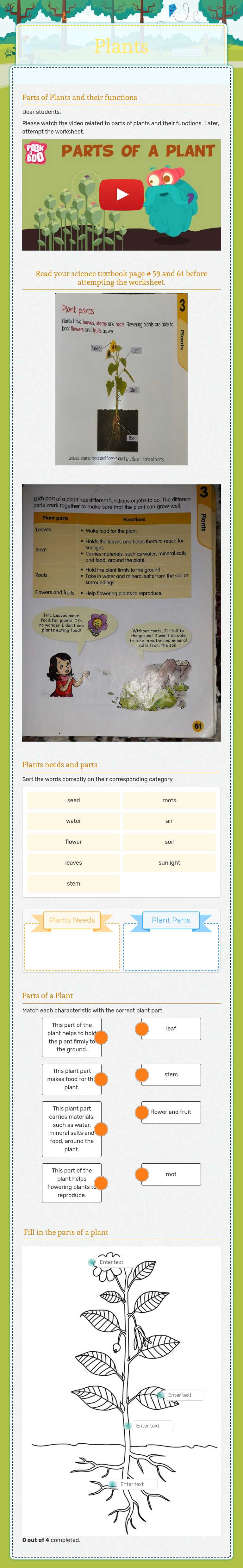 Plants worksheet preview image