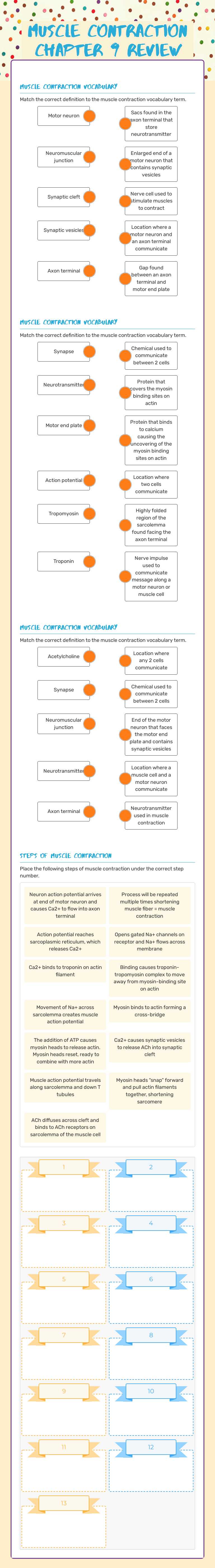 Muscle Contraction Chapter 9 Review worksheet preview image