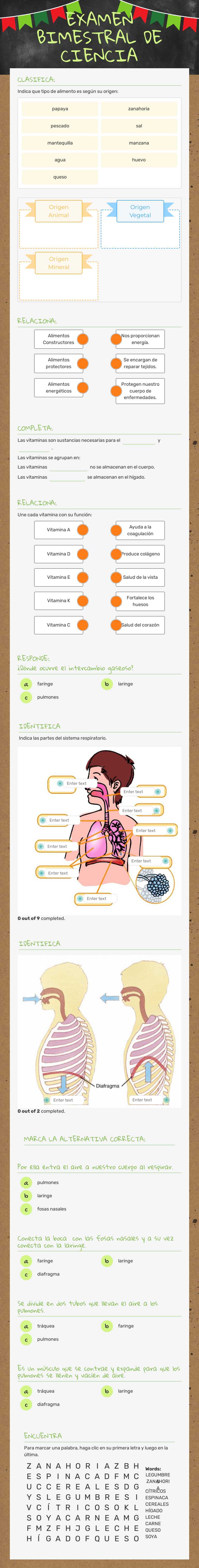 EXAMEN BIMESTRAL DE CIENCIA Grade 4 worksheet preview