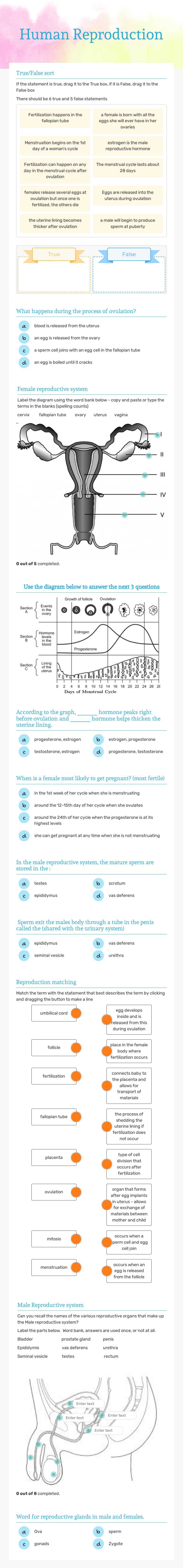 Human Reproduction Grade 9 worksheet preview