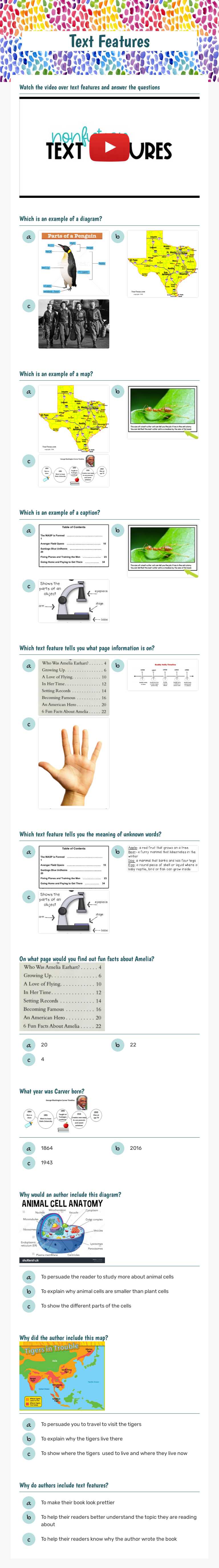 Text Features Grade 3 worksheet preview