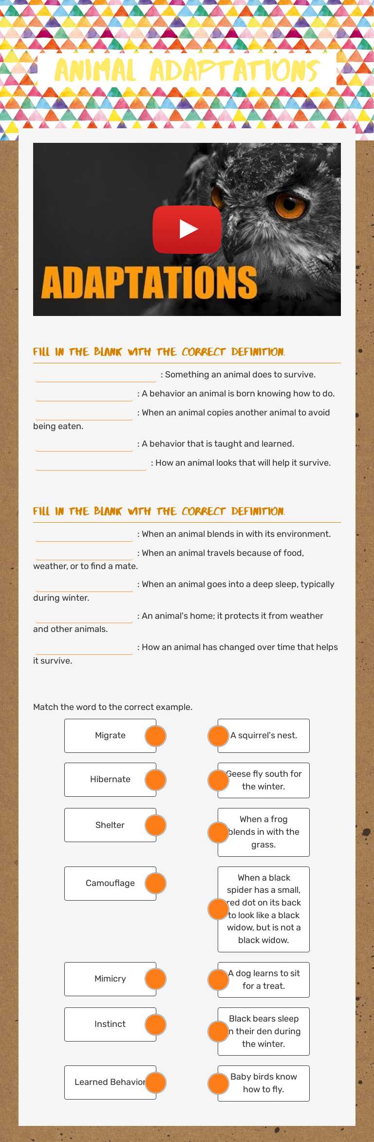 Animal Adaptations Grade 3 worksheet preview