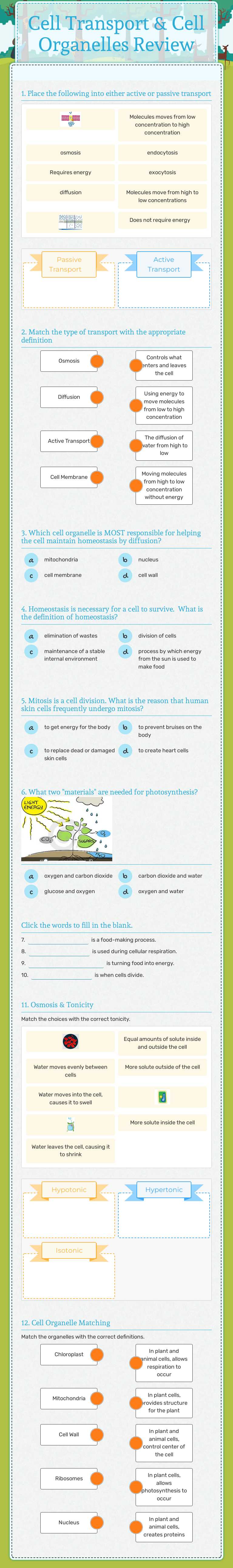 Cell Transport & Cell Organelles Review Grade 7 worksheet preview