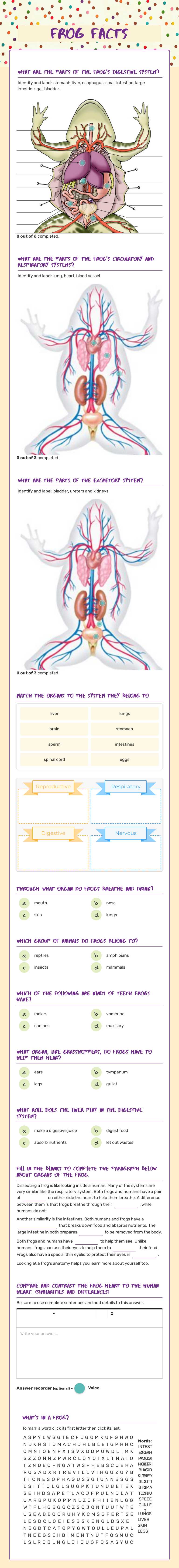 Frog Facts - pd 2 worksheet preview image