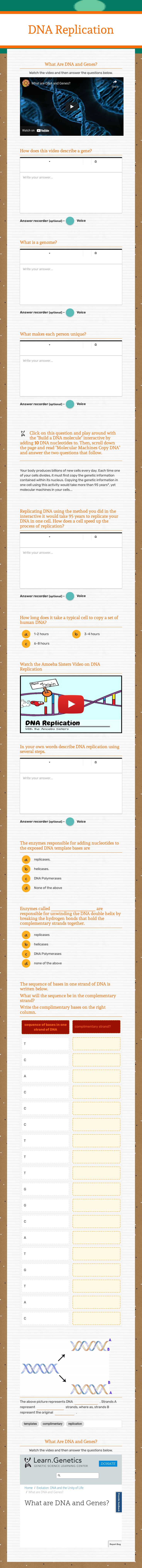 DNA Replication Grade 9 worksheet preview