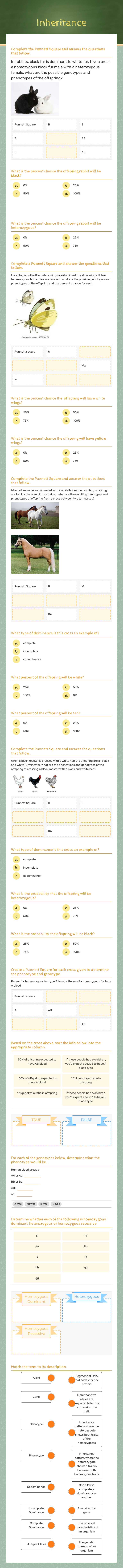 Incomplete & Codominance ELL worksheet preview image