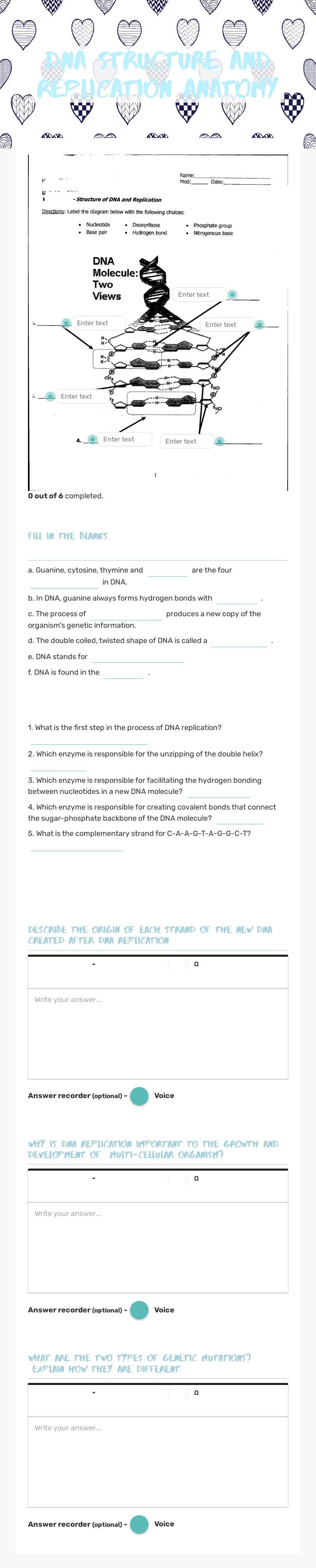 DNA structure and replication anatomy Grade 10 worksheet preview
