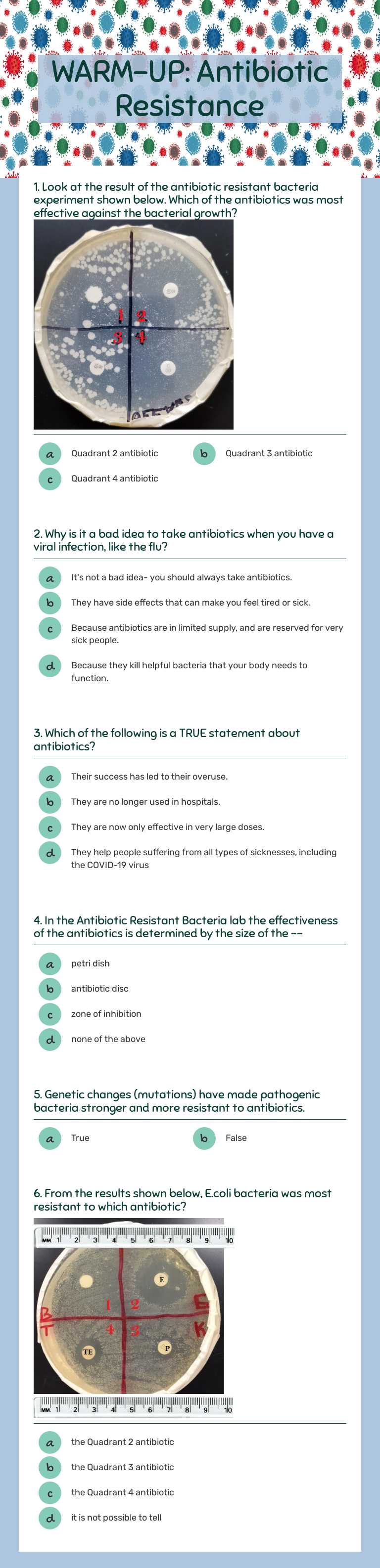 WARM-UP: Antibiotic Resistance Grade 5 worksheet preview