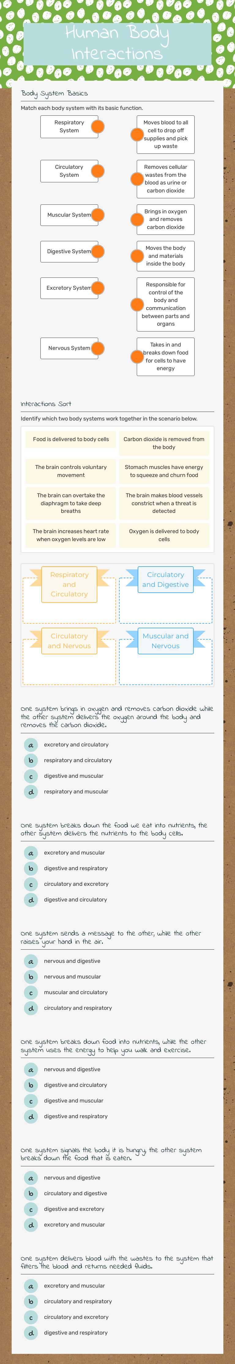Human Body Interactions worksheet preview image