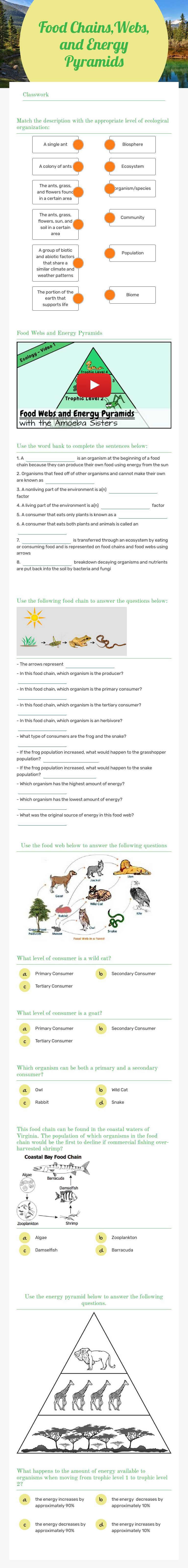 Food Chains,Webs, and Energy Pyramids worksheet preview image