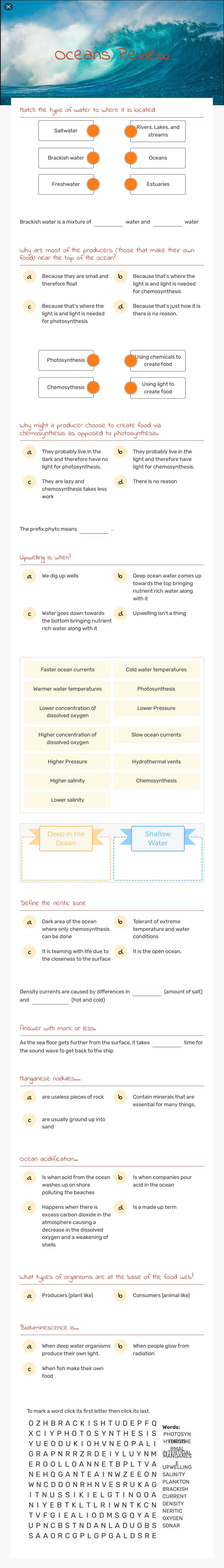 Oceans Review worksheet preview image