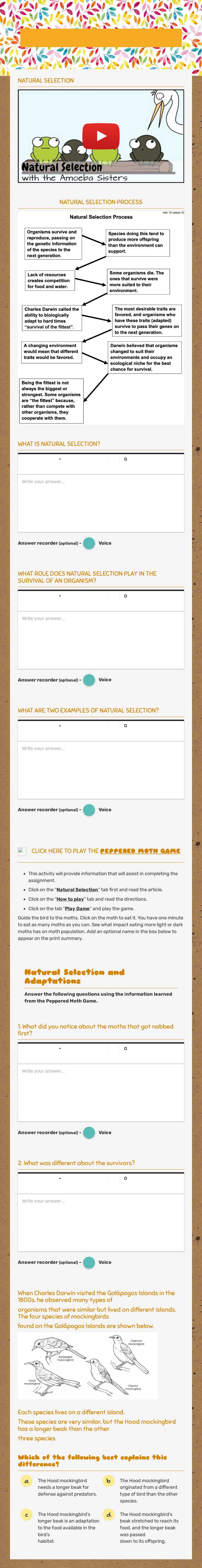 NATURAL SELECTION worksheet preview image