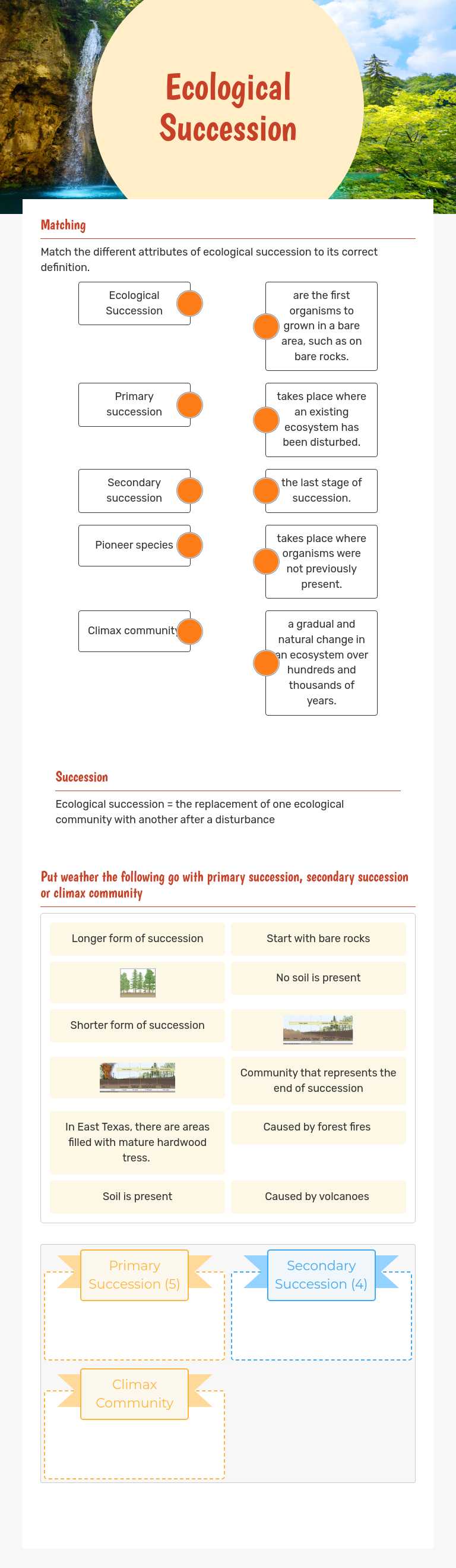 Ecological Succession worksheet preview image