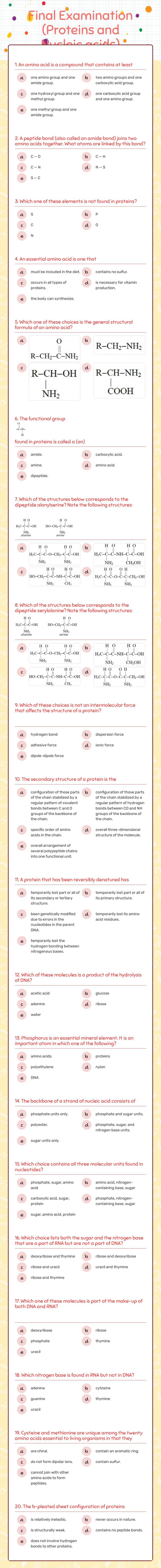 Final Examination (Proteins and Nucleic acids) worksheet preview image