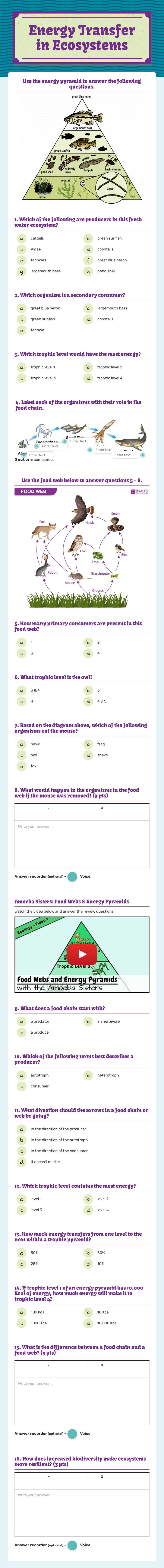 Energy Transfer in Ecosystems Grade 6 worksheet preview