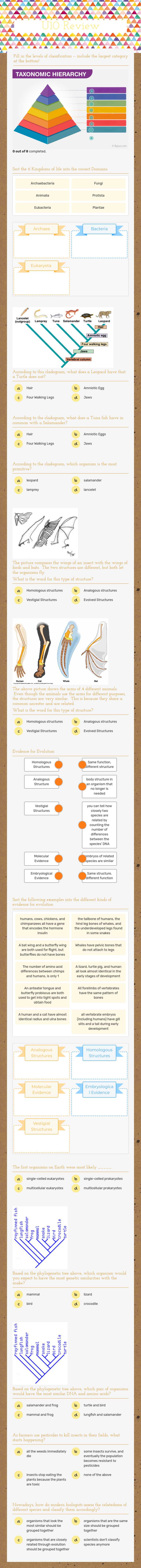 U10 Review worksheet preview image