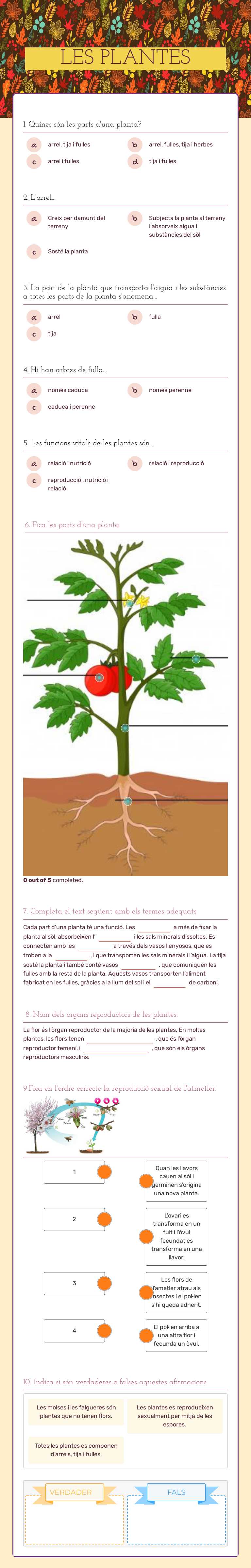 LES PLANTES worksheet preview image