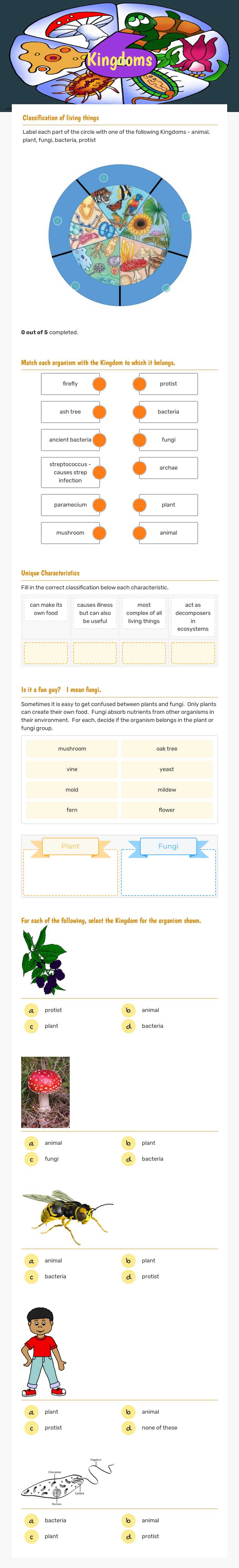 Kingdoms Grade 6 worksheet preview