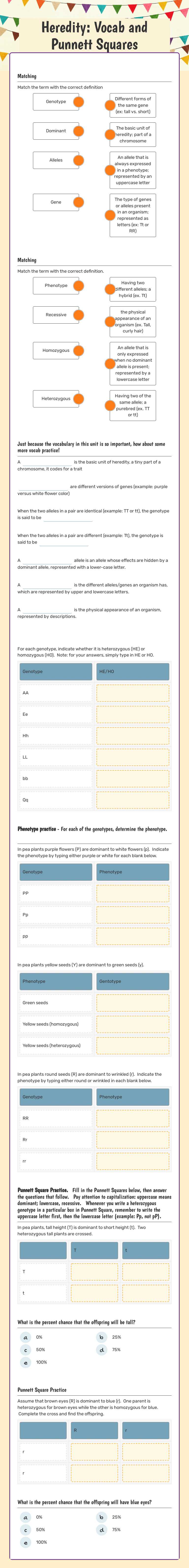 Heredity: Vocab and Punnett Squares worksheet preview image