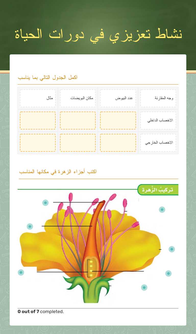 نشاط تعزيزي في دورات الحياة Grade 5 worksheet preview