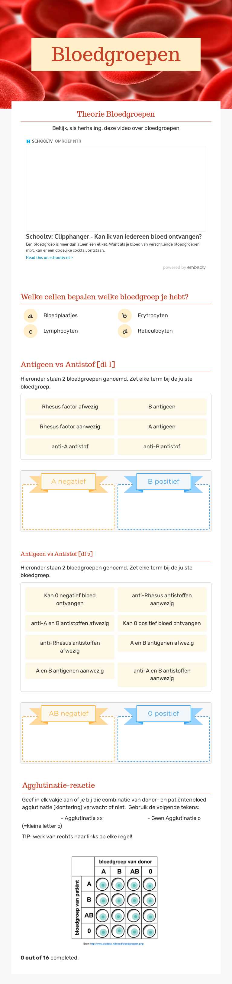 Bloedgroepen worksheet preview image