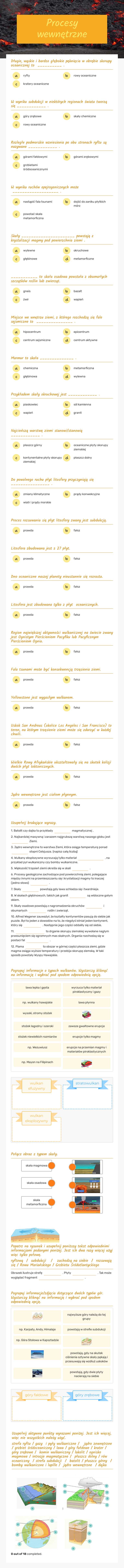 Procesy wewnętrzne worksheet preview image