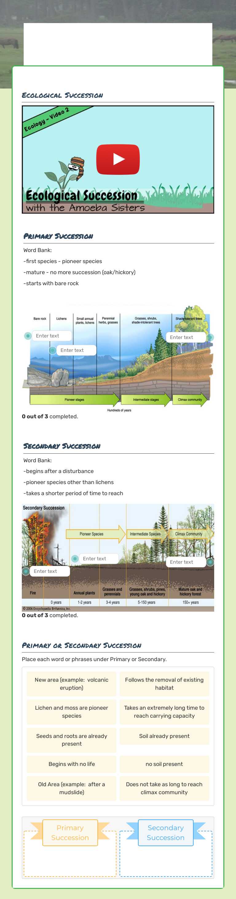 Ecological Succession worksheet preview image