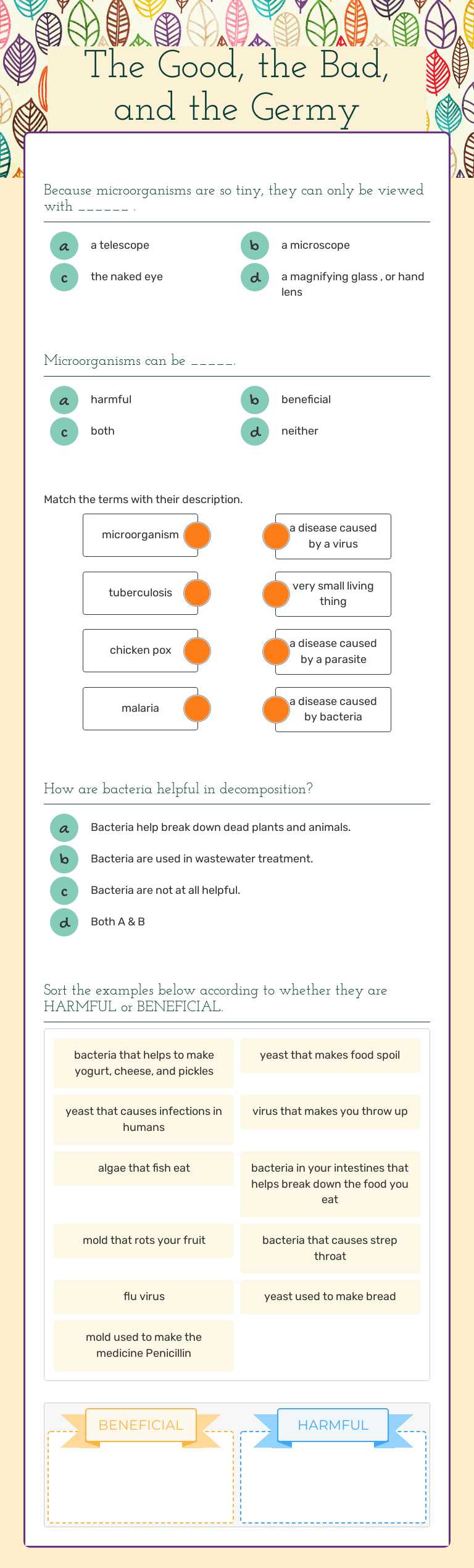 The Good, the Bad, and the Germy Grade 5 worksheet preview