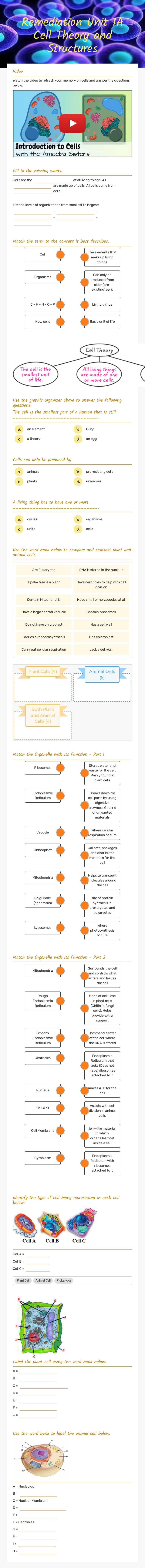 Remediation Unit 1A Cell Theory and Structures worksheet preview image