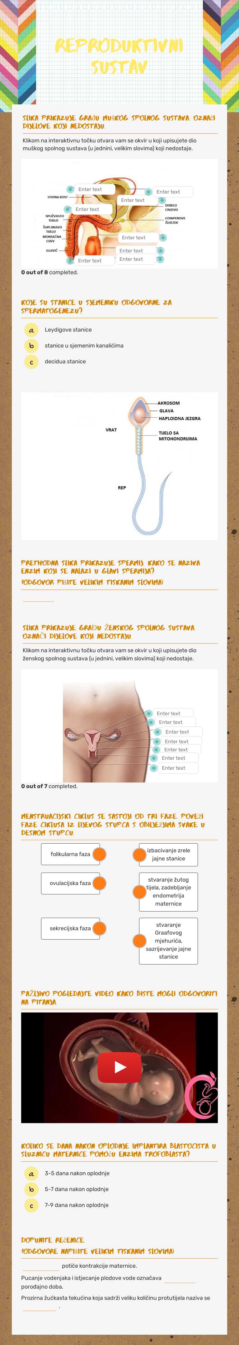 reproduktivni sustav worksheet preview image
