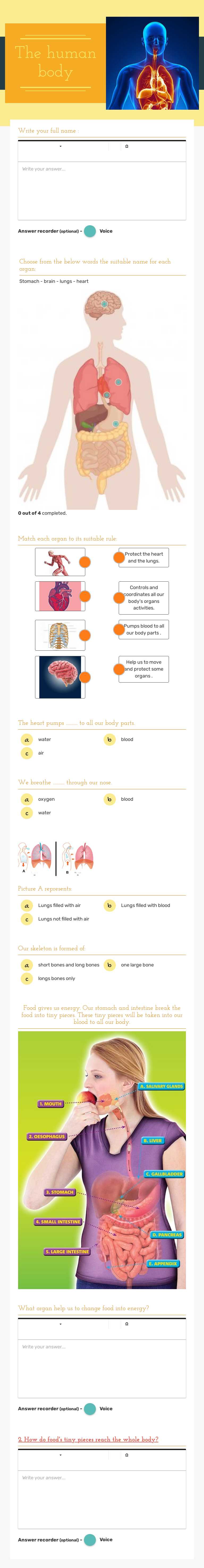 The human body worksheet preview image