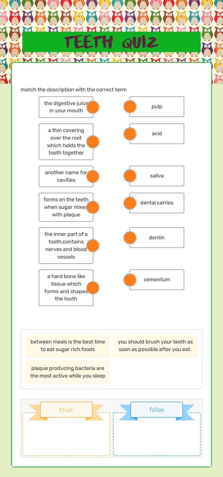 teeth quiz worksheet preview image