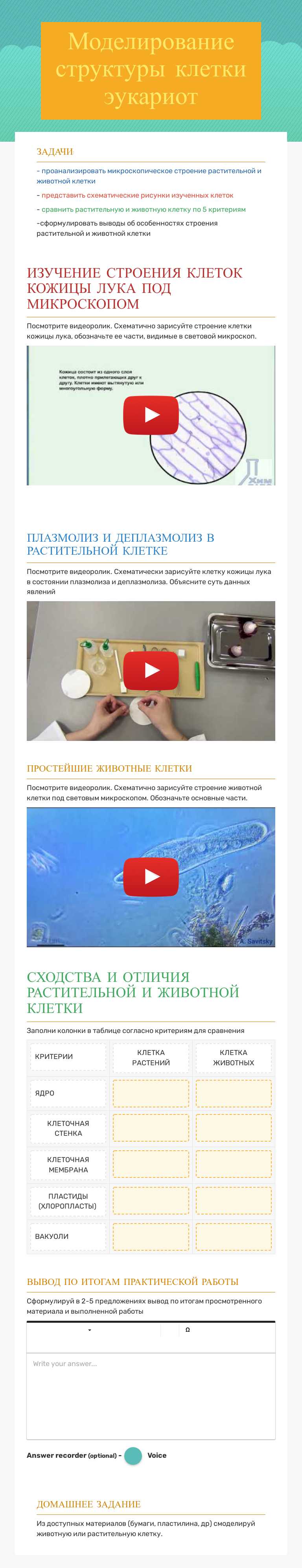Моделирование структуры клетки эукариот worksheet preview image