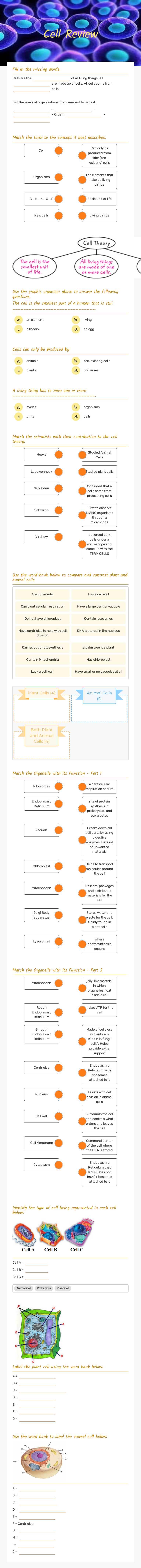 Cell Review worksheet preview image