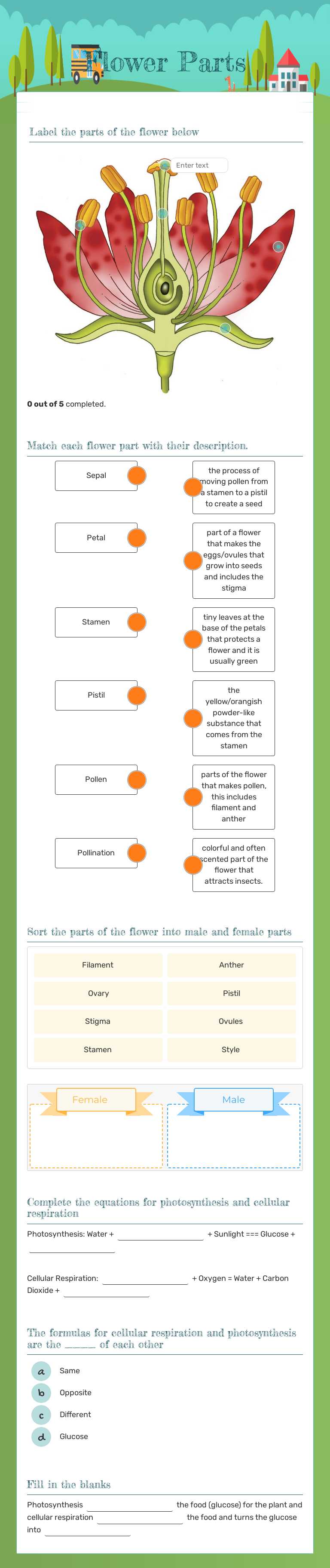 Flower Parts worksheet preview image