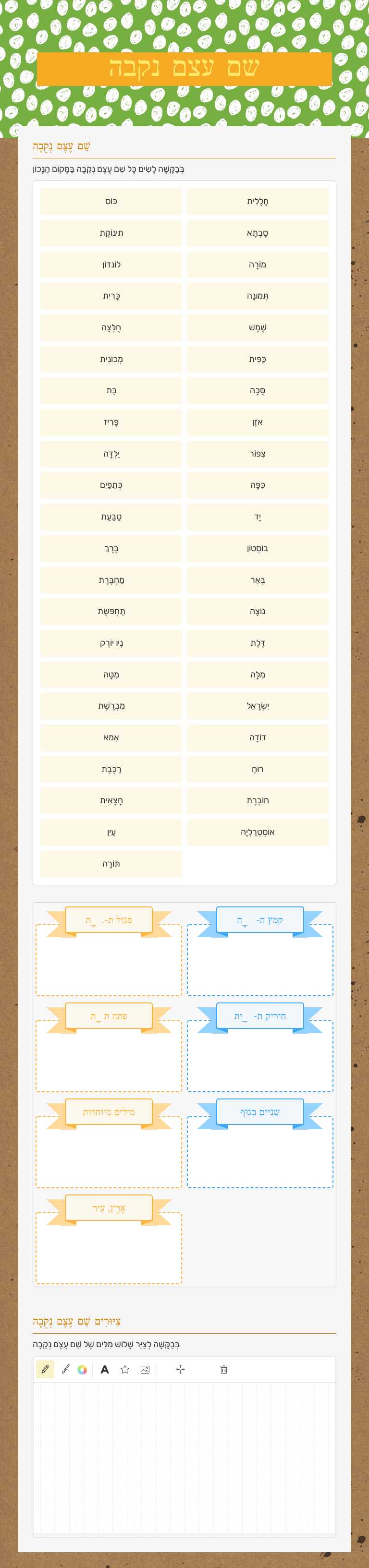 שם עצם נקבה worksheet preview image