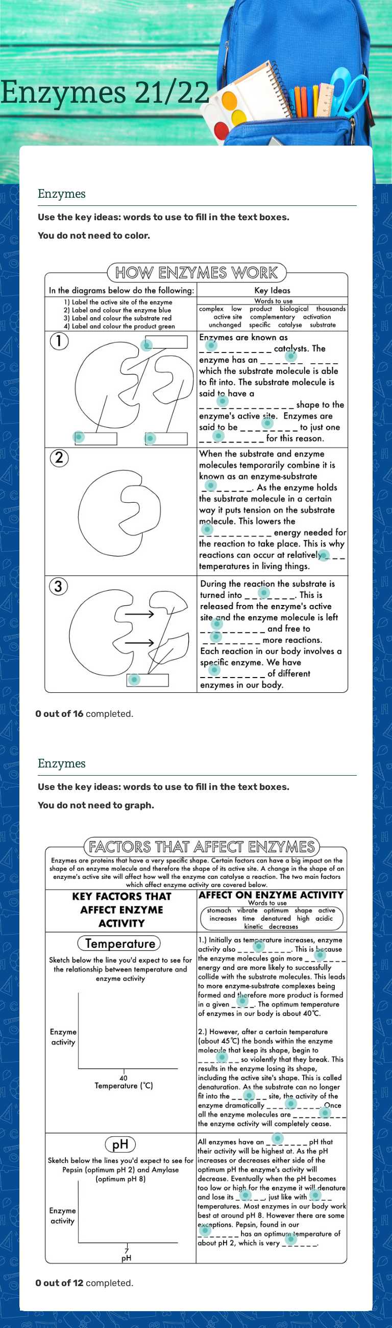 Enzymes 21/22 worksheet preview image