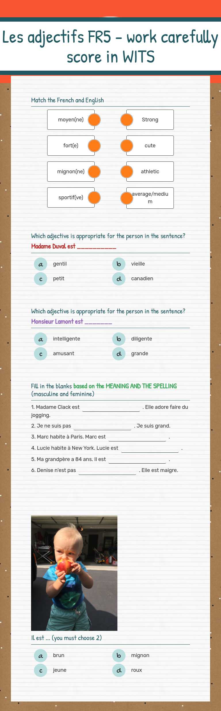 Les adjectifs FR5 - work carefully score in WITS worksheet preview image