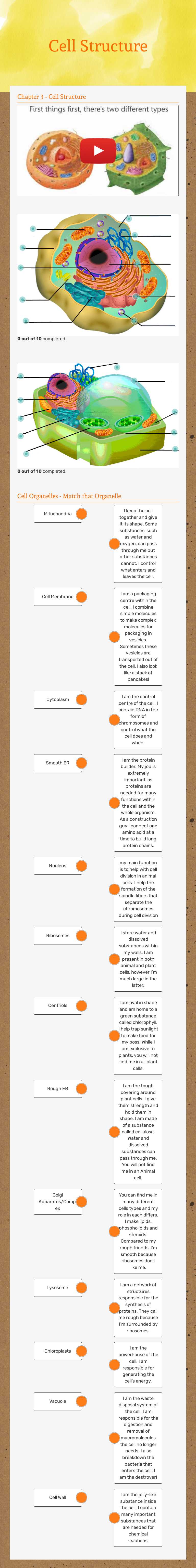 Cell Structure worksheet preview image