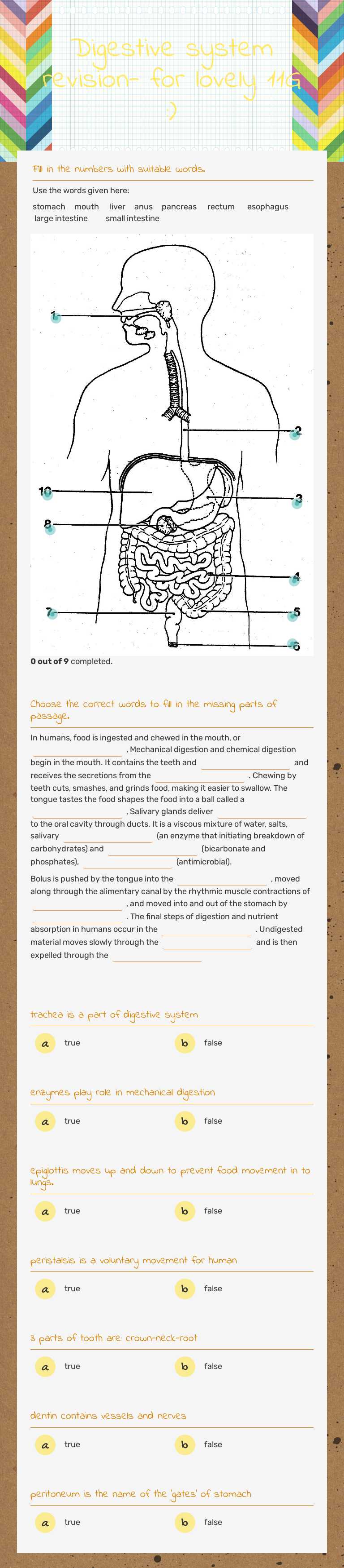 Digestive system revision- for lovely 11G :) worksheet preview