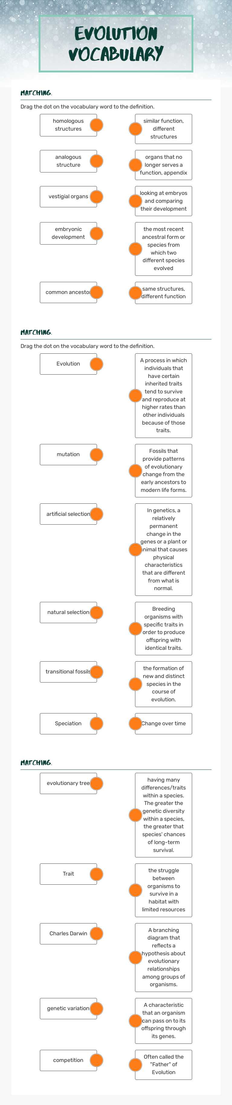 Evolution Vocabulary worksheet preview image